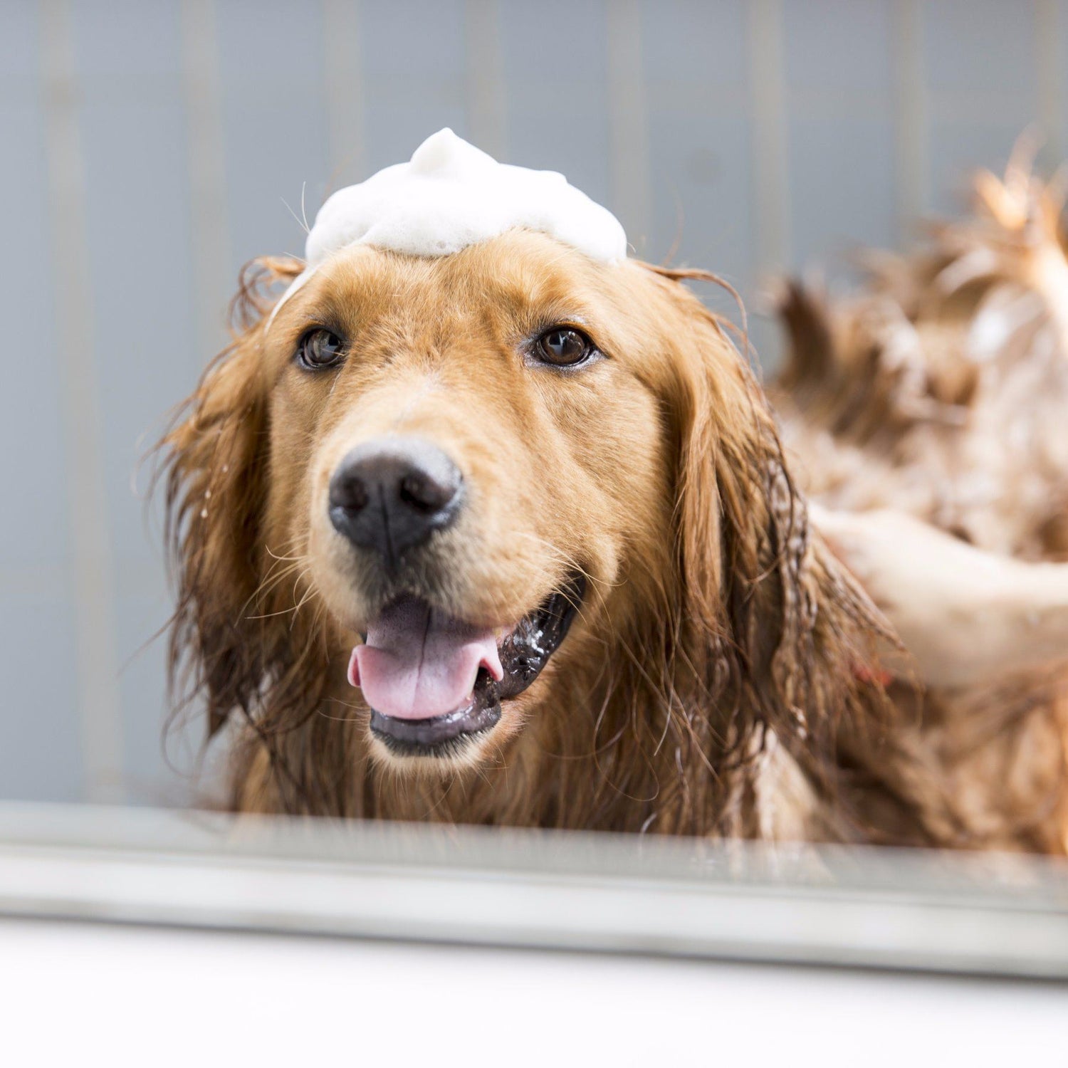 It's Bathtime